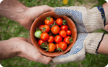 FarmVest